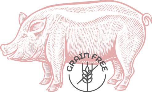 Beneficios del alimento monoproteico de cerdo para mascotas